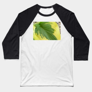 Hosta  'Wide Brim'  Plantain lily Baseball T-Shirt